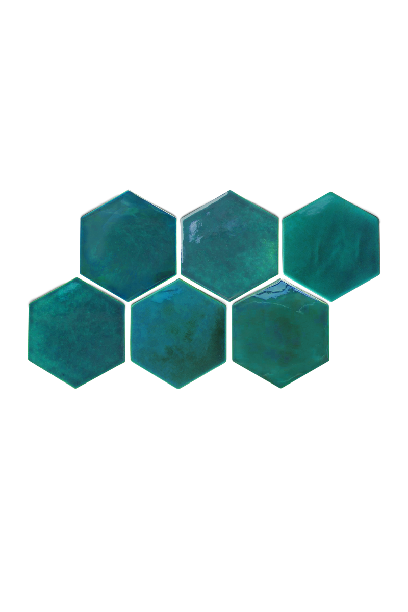 Coral Dream Image 2
